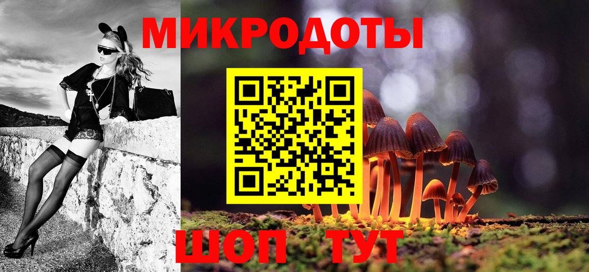 Псилоцибиновые грибы Psilocybe Скопин