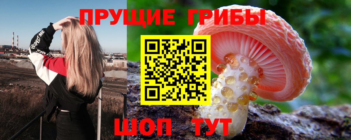Псилоцибиновые грибы прущие грибы  Псилоцибиновые грибы Psilocybine cubensis  Вход с VPN  Скопин 